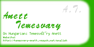 anett temesvary business card